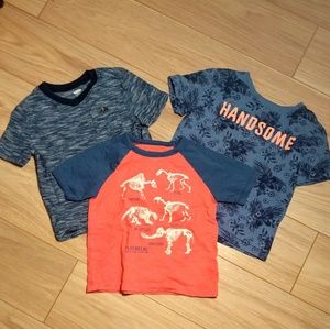 Boys 3T Shirt Bundle